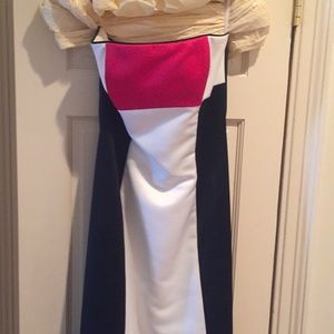 Jessica McClintock Colorblock Gown